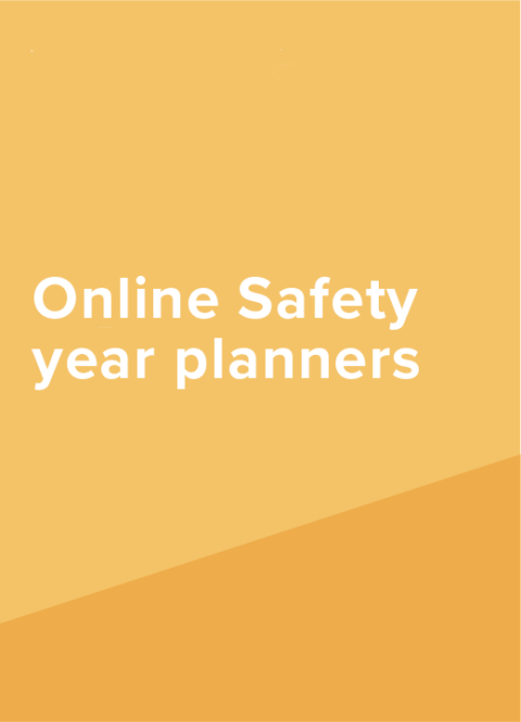 Online Safety Year Planners Link