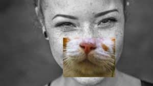 black and white closeup of girls face with a cat's nose and mouth overlaid on top