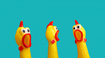 three plastic chicken heads that look shocked