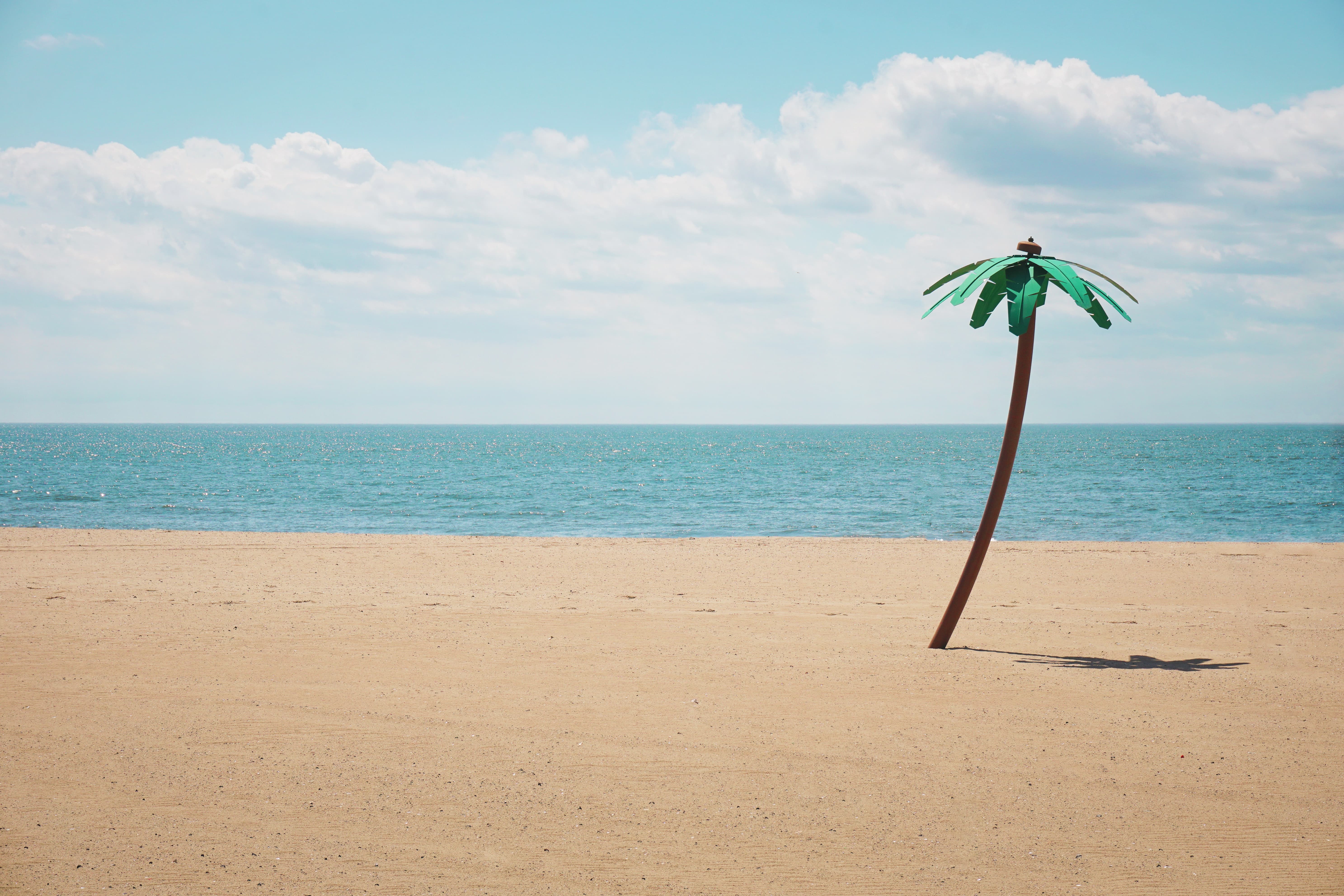 Green artifical palm tree on a beach
